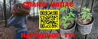 шишки Комсомольск-на-Амуре