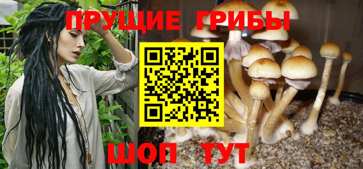 Моршанск  наркотики  Галлюциногенные грибы мицелий  Вход с VPN  Галлюциногенные грибы Magic Shrooms 