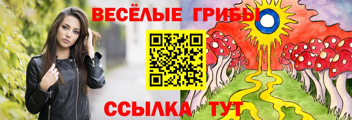 Псилоцибиновые грибы мицелий Моршанск